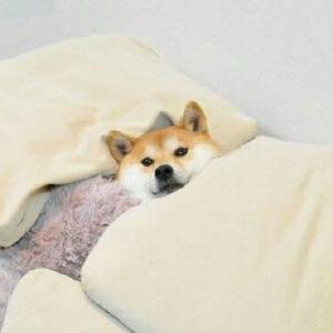 庄子钓于濮水中文意思是什么？