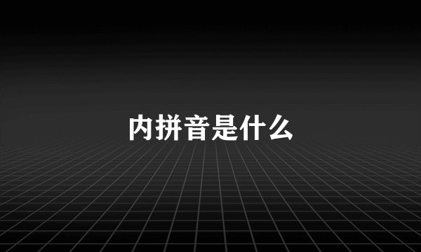 内拼音是什么