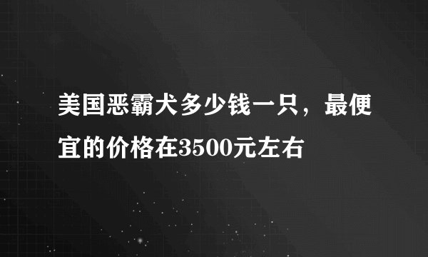 美国恶霸犬多少钱一只，最便宜的价格在3500元左右