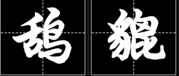 女孩对我说鸹貔，是什么来着？