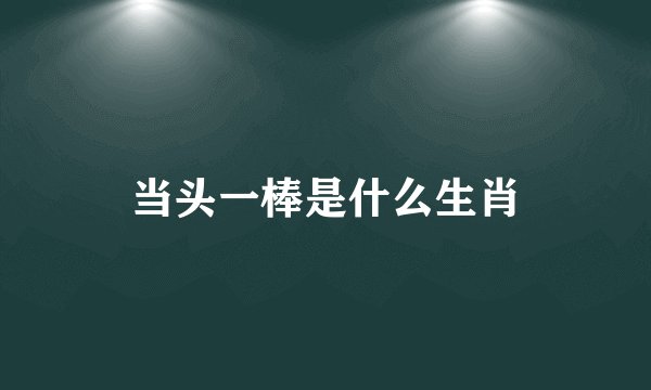 当头一棒是什么生肖