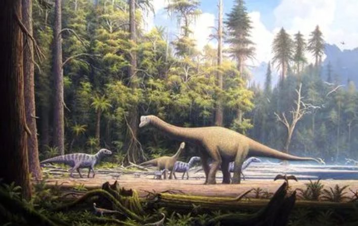 恐龙卡片怎么做