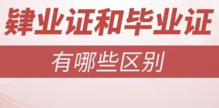 肆业和肄业有什么区别?