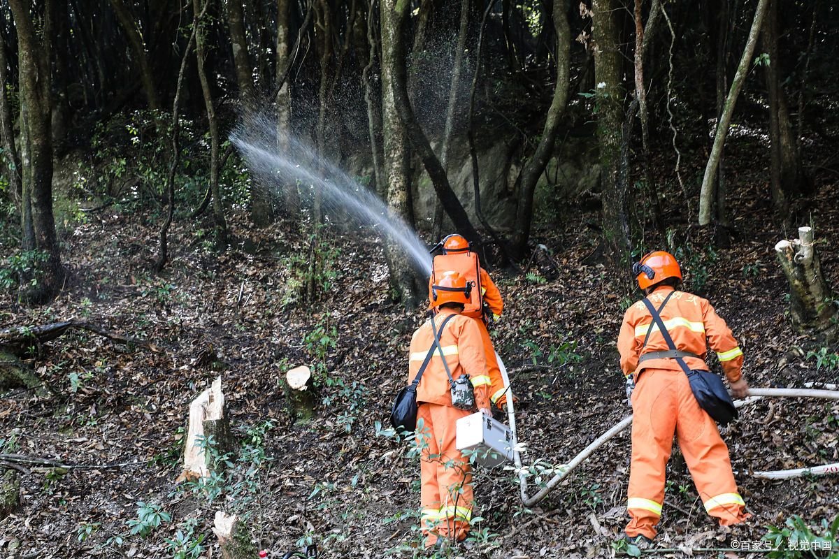 道路救援是否收费？