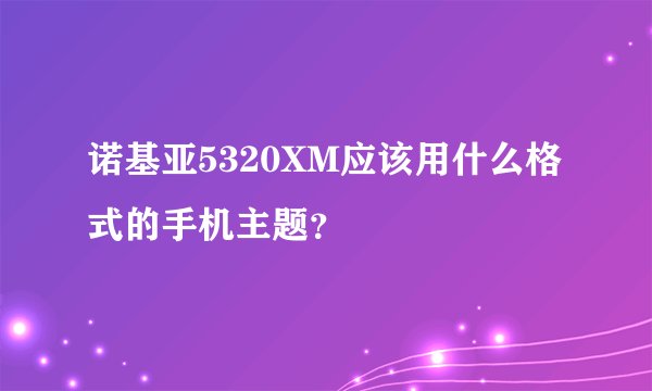 诺基亚5320XM应该用什么格式的手机主题？