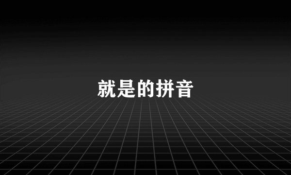 就是的拼音