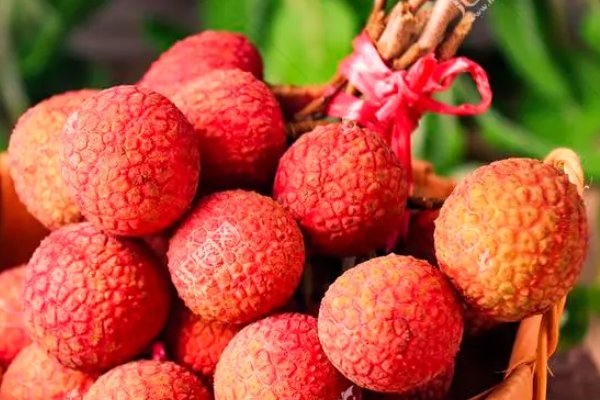 荔枝是什么意思网络用语