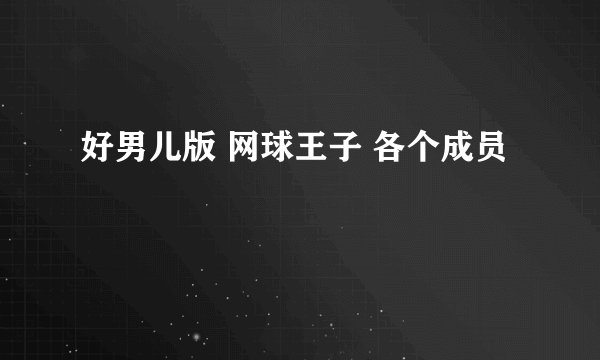 好男儿版 网球王子 各个成员