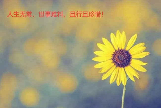 且行且珍惜什么意思？