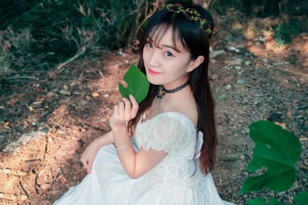 verna英文名什么寓意