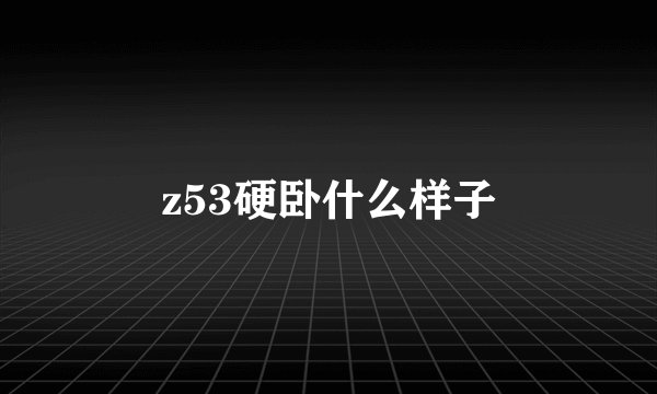 z53硬卧什么样子