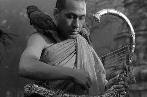 《缅甸的竖琴》讲了什么？如何评价？