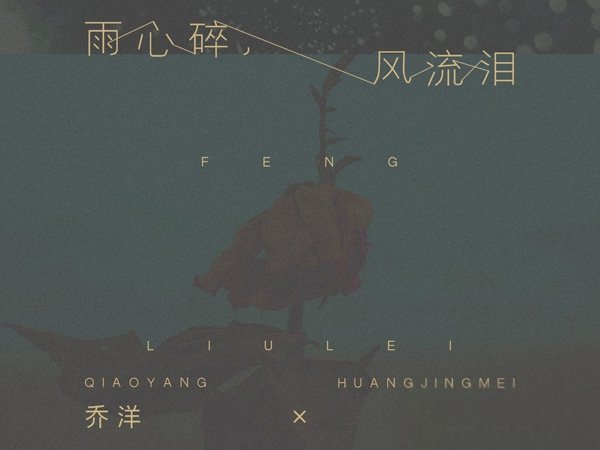雨心碎风流泪花花世界无人陪是什么歌，雨心碎风流泪歌曲介绍