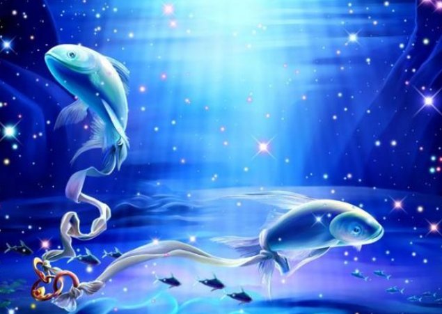 2月份的星座是什么座的？