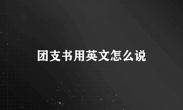 团支书用英文怎么说