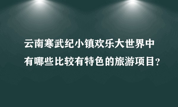 云南寒武纪小镇欢乐大世界中有哪些比较有特色的旅游项目？