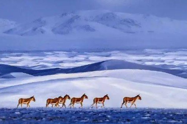 三线轮洄讲的什么