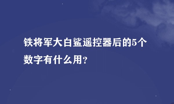 铁将军大白鲨遥控器后的5个数字有什么用？