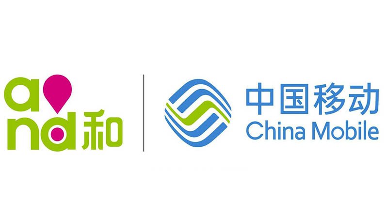 积分查询怎么查询？