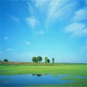 高手指点个g2bbs怎么注册成功！或者给个账号用下