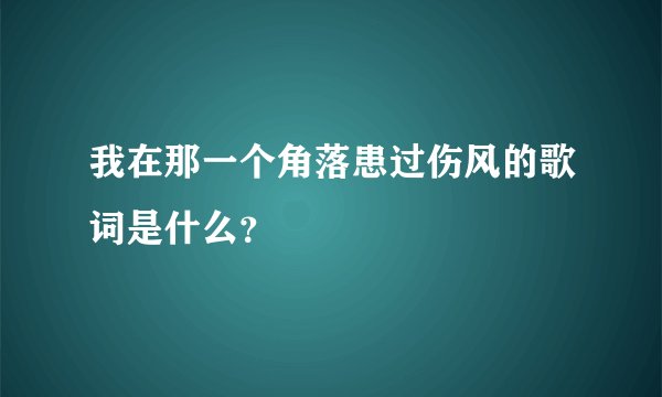 我在那一个角落患过伤风的歌词是什么？