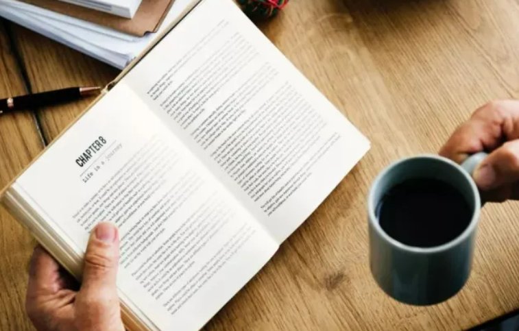 conclusions是什么意思