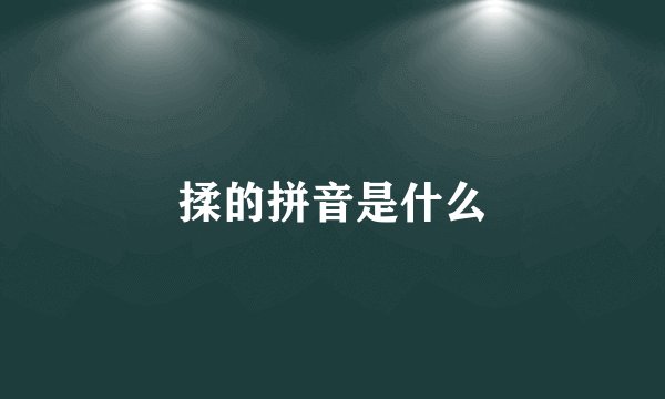 揉的拼音是什么