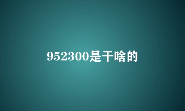 952300是干啥的