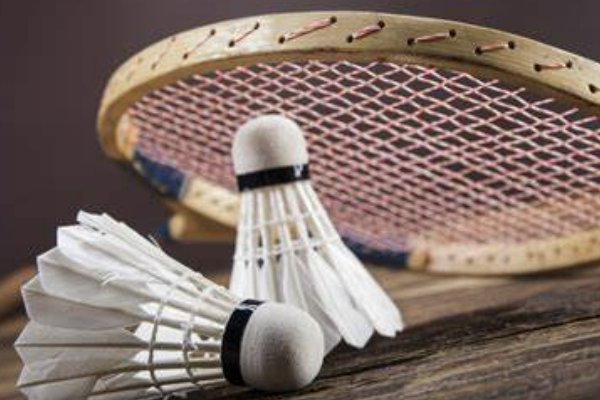 标准羽毛球由多少根羽毛组成( )a.14b.15c.16d.18