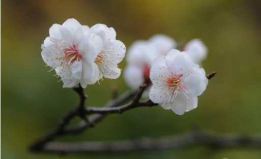 孟春．仲春．季春是什么意思