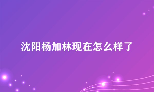 沈阳杨加林现在怎么样了