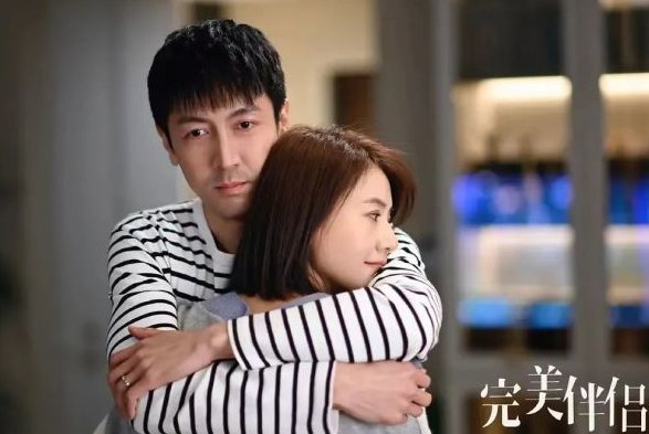 完美伴侣剧情介绍分集