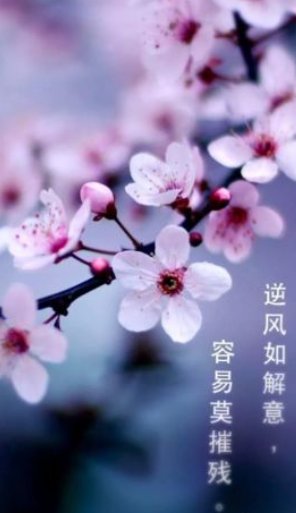 “逆风如解意，容易莫摧残”出自谁的哪首诗，并求全文？