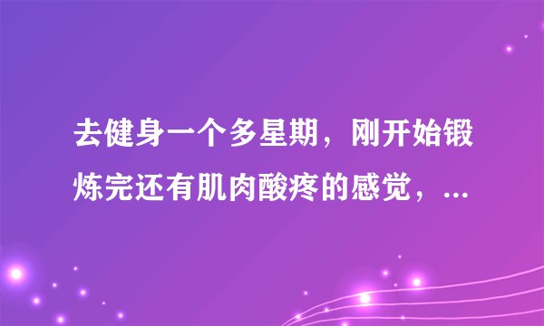 去健身一个多星期，刚开始锻炼完还有肌肉酸疼的感觉，现在重量多了点锻炼完什么感觉也没有，请问怎么改进