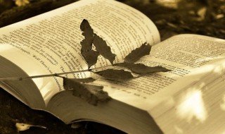 直观图是什么意思 直观图解释