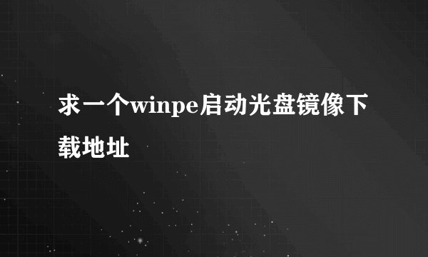 求一个winpe启动光盘镜像下载地址
