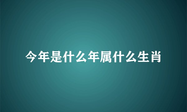 今年是什么年属什么生肖