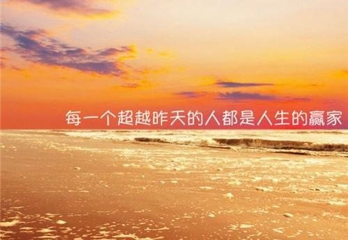 爸爸的姐姐怎么称呼