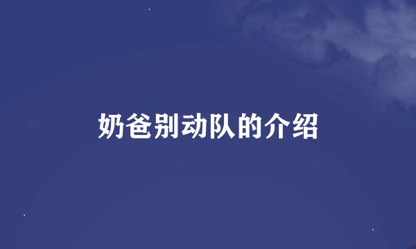 奶爸别动队的介绍