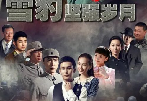 雪豹坚强岁月演员表