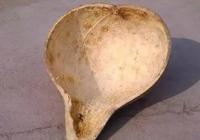 瓢字有几个读音