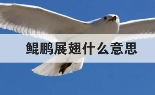 鲲鹏展翅是什么意思