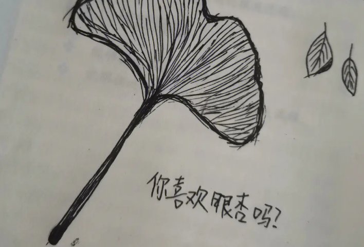 你喜欢银杏吗什么意思