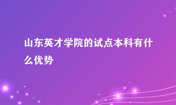 山东英才学院的试点本科有什么优势