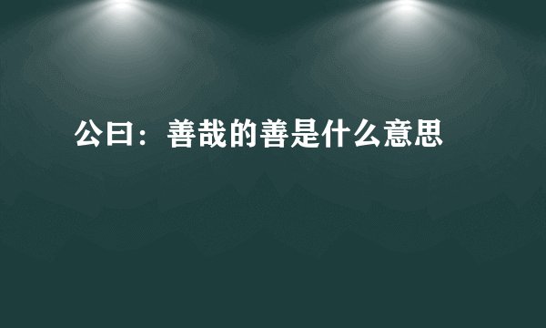 公曰：善哉的善是什么意思❓