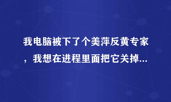 我电脑被下了个美萍反黄专家，我想在进程里面把它关掉，有谁知道它的进程名字叫什么啊？谢谢！