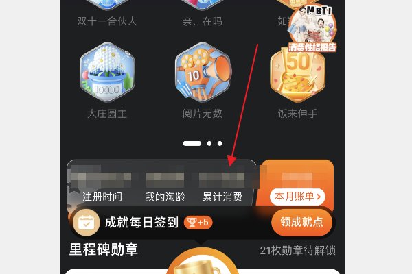 怎么看淘宝总共消费了多少金额