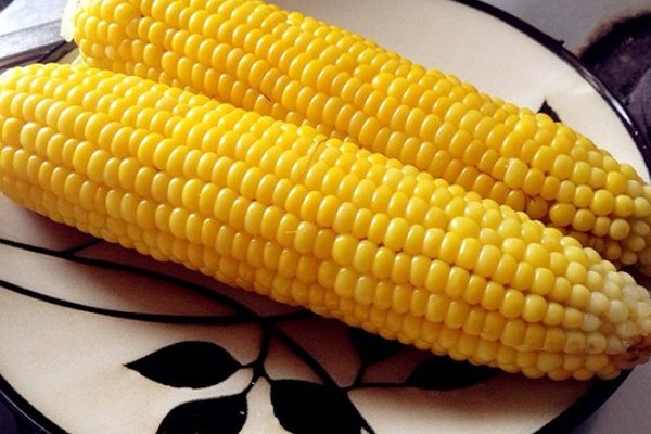 老玉米煮多久能熟