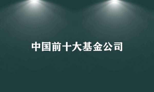 中国前十大基金公司
