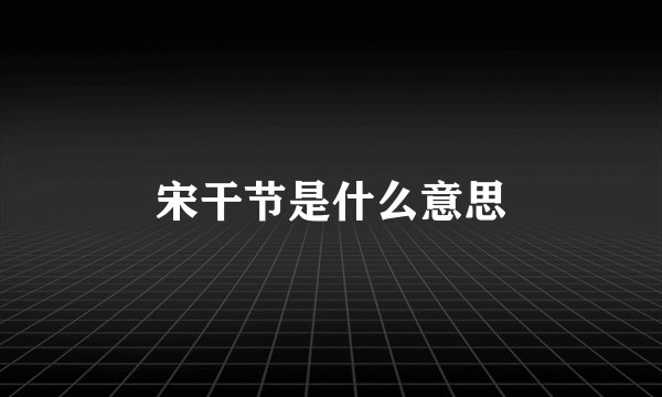 宋干节是什么意思